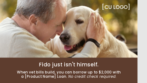 Man hugging yellow lab dog. Text says, "Fido just isn't himself. When vet bills build, you can borrow up to $2,000 with a [Product Name] Loan. No credit check required."