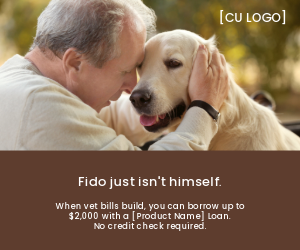 Man hugging yellow lab dog. Text says, "Fido just isn't himself. When vet bills build, you can borrow up to $2,000 with a [Product Name] Loan. No credit check required."