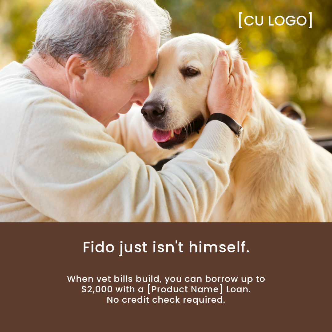 Man hugging yellow lab dog. Text says, "Fido just isn't himself. When vet bills build, you can borrow up to $2,000 with a [Product Name] Loan. No credit check required."