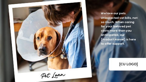 A dog has a cone around its head and is being comforted by a vet with a stethoscope around her neck.