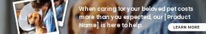 A dog has a cone around its head and is being comforted by a vet with a stethoscope around her neck.