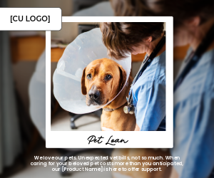 A dog has a cone around its head and is being comforted by a vet with a stethoscope around her neck.