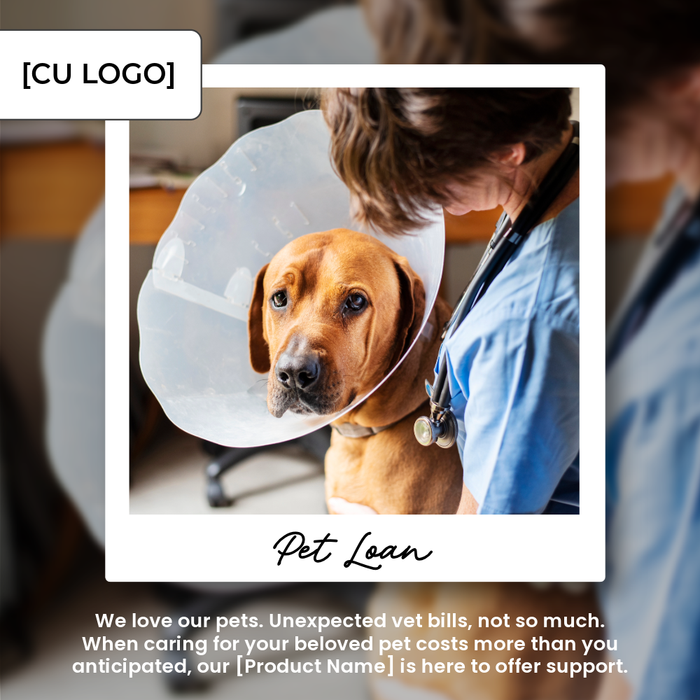 A dog has a cone around its head and is being comforted by a vet with a stethoscope around her neck.